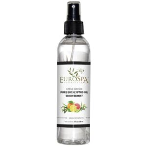 Euro Spa Eucalyptus Mist Citrus